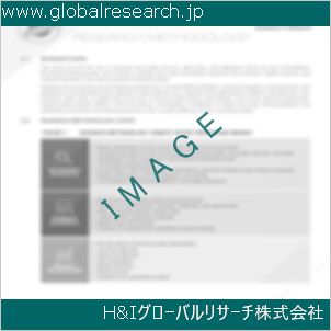 グローバルリサーチ調査資料のイメージ